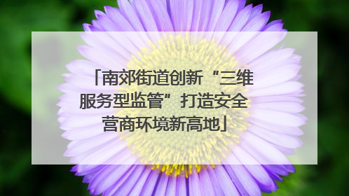 南郊街道创新“三维服务型监管”打造安全营商环境新高地